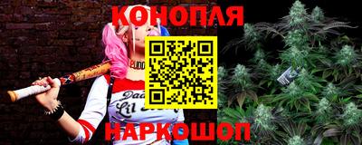 сатива Малгобек