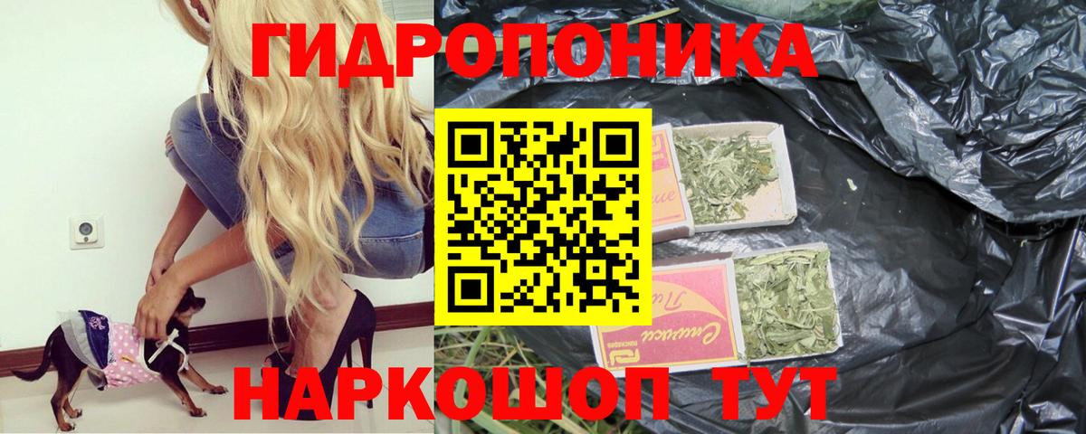 Бошки Шишки индика Свободный